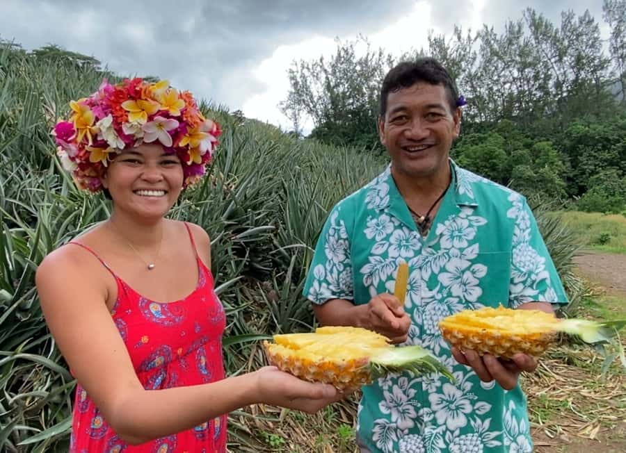 Moorea: Half-Day Open-Air 4WD Safari with Hotel Transfers - Pineapple country and local tastings