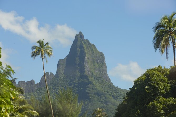 Moorea Highlights Private Tour: Natural and Cultural Attraction - Key points at a glance