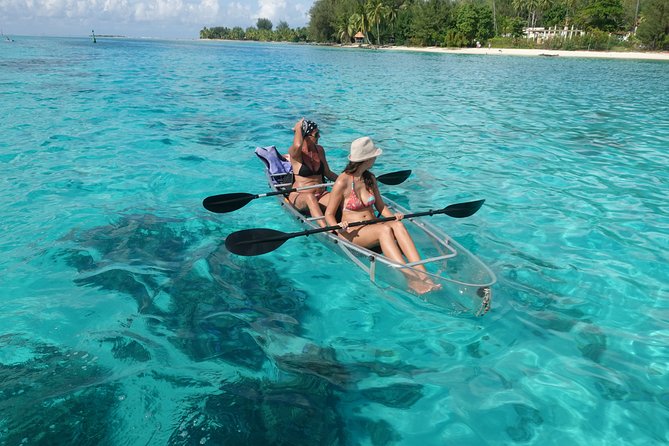 Moorea Lagoon Tour by Transparent Kayak - How hard is the paddling?