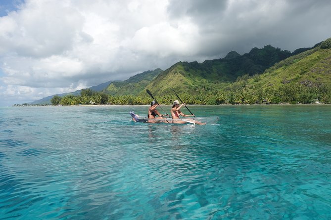 Moorea Lagoon Tour by Transparent Kayak - Who should book this Moorea outing?