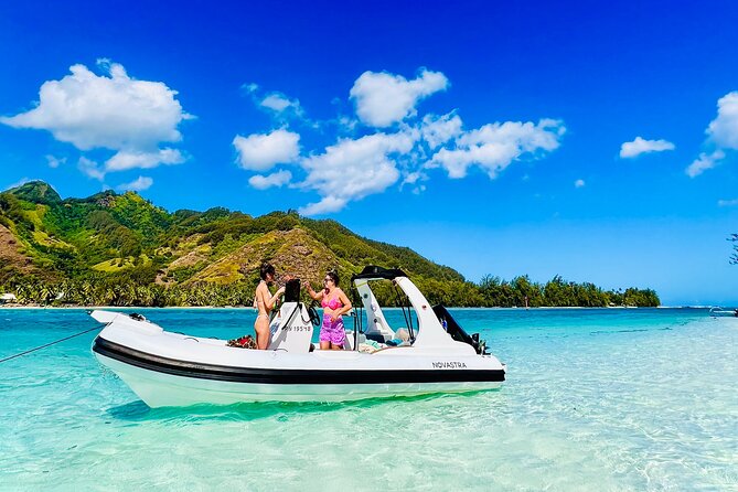 Moorea: Private 4-Hour High-End Boat Excursion - The ray and shark sandbank is the headline stop