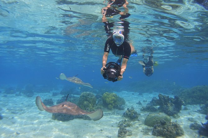 Moorea Private Boat Tour / Sea Scooter Snorkeling Tour - The guide makes the equipment easier to enjoy