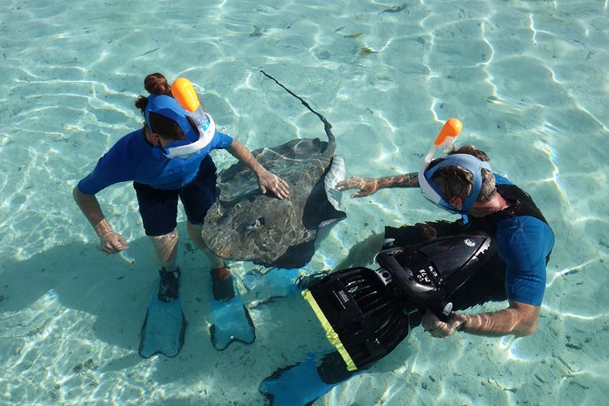 Moorea Private Boat Tour / Sea Scooter Snorkeling Tour - Practical booking advice for Moorea