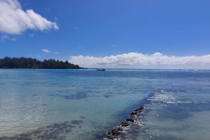 Moorea Private Full Day Tour - Maharepa adds village life and pearl shopping