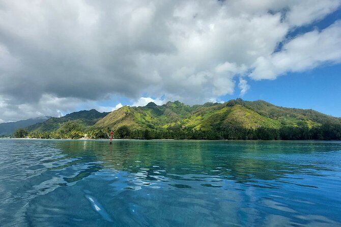 Moorea Private Full Day Tour - Opunohu Bay and valley roads reveal Moorea’s interior