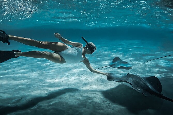 Moorea: Private Snorkeling Tour with Certify Guide - Why this private Moorea outing feels different