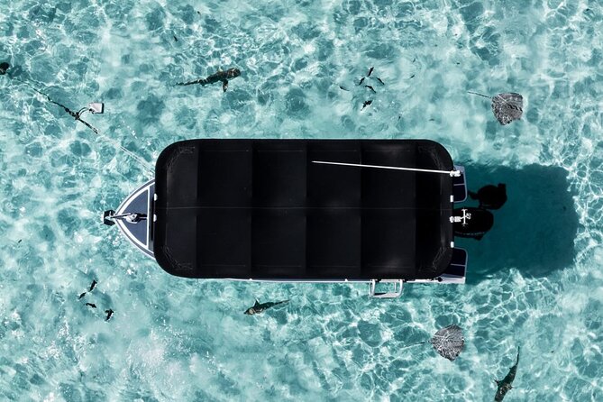 Moorea: Private Snorkeling Tour with Certify Guide - Practical details before you reserve