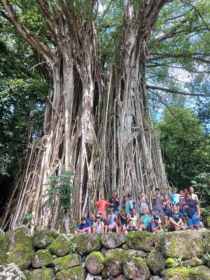 Moorea : Safari Nature and Culture Tour with local guide - Christine’s approach to Moorea’s culture