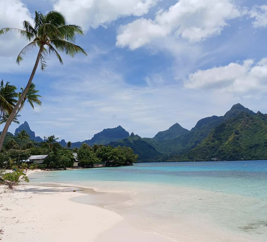 Moorea : Safari Nature and Culture Tour with local guide - Missionaries, temples, and the final tasting