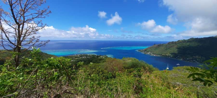 Moorea : Safari Nature and Culture Tour with local guide - Cook’s Bay and the first navigators