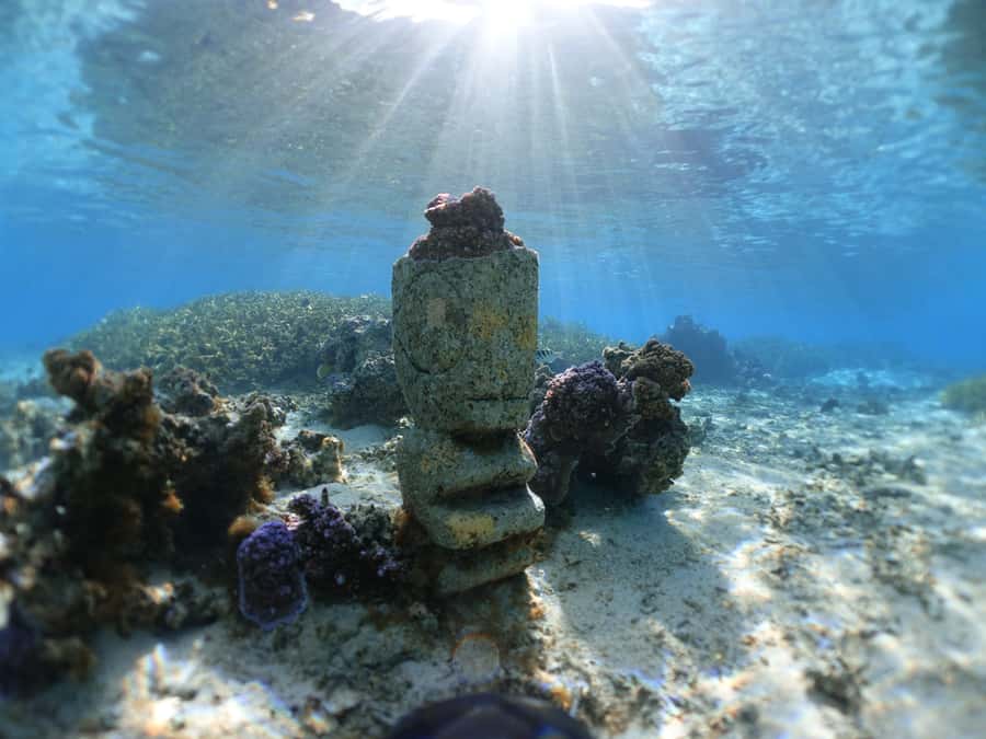Moorea: Sea Scooter Snorkeling Tour - Is $167 a fair price?