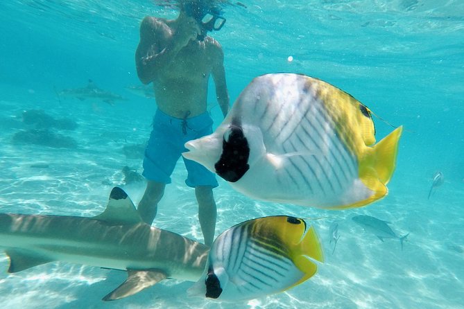 Moorea Solo or Twin 3 hours Jet Ski Tour - What the $131.28 price includes