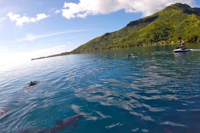 Moorea Solo or Twin 3 hours Jet Ski Tour - Who will enjoy this Moorea excursion most?
