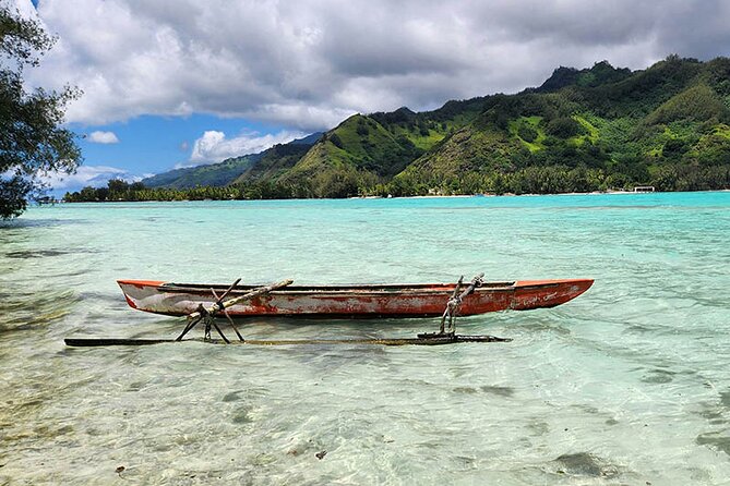 Moorea tour in electric citycoco (in autonomy) - Te Fare Natura, the lagoon’s natural side
