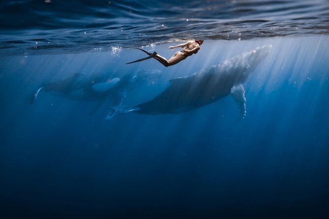 moorea tubing - The main limitation: a brief session