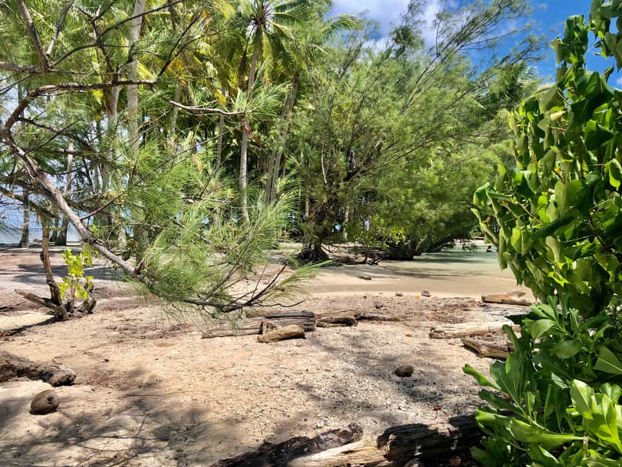 Must-Do : Nature, Culture & Moments Uniques – MirimirI Tours - Who should book this Raiatea tour