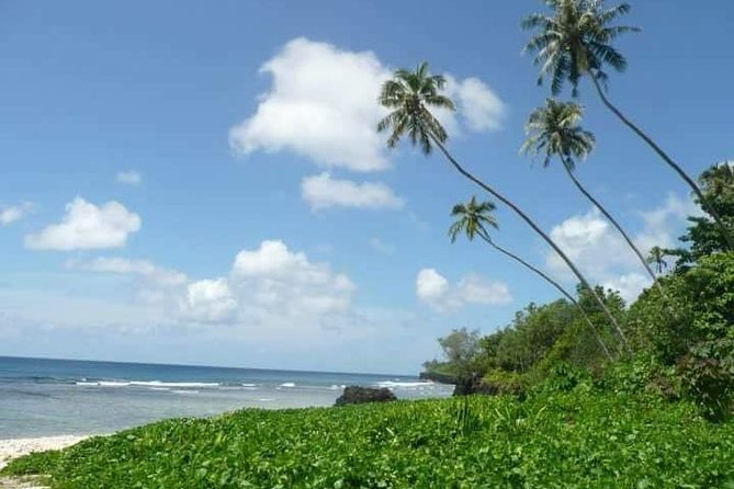 Namua Turtle Island and Eastern Upolu Tour - Namua Island gives the day its main splash