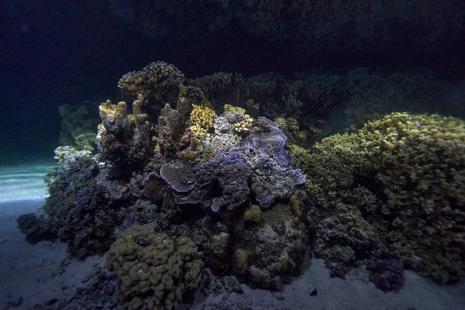Night Snorkeling - How safe and comfortable will it feel?