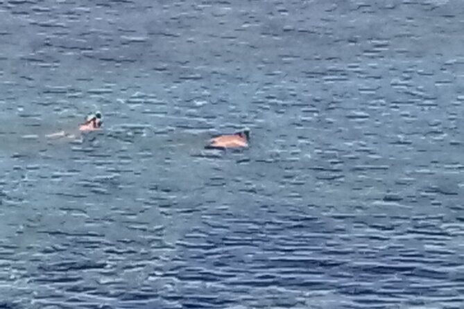Other side of heaven Eco friendly snorkeling adventure - The wider Tongatapu sightseeing package