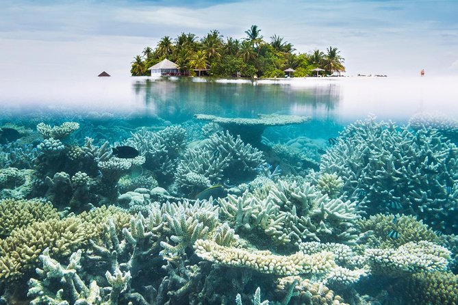 Other side of heaven Eco friendly snorkeling adventure - Is $150 a fair price?