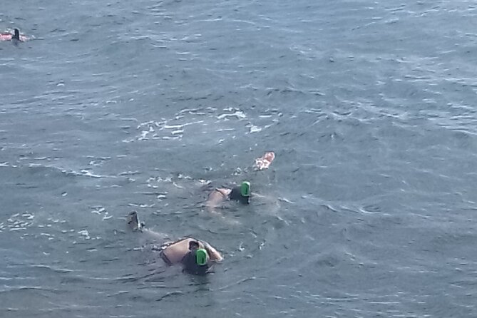 Other side of heaven Eco friendly snorkeling adventure - How the two-hour schedule feels