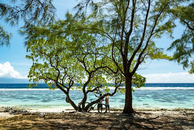 Papeete Market Place - Should you book the Papeete Market visit?