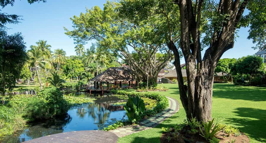Papeete : walking tour - Why This Walk Works as a First Look at Papeete