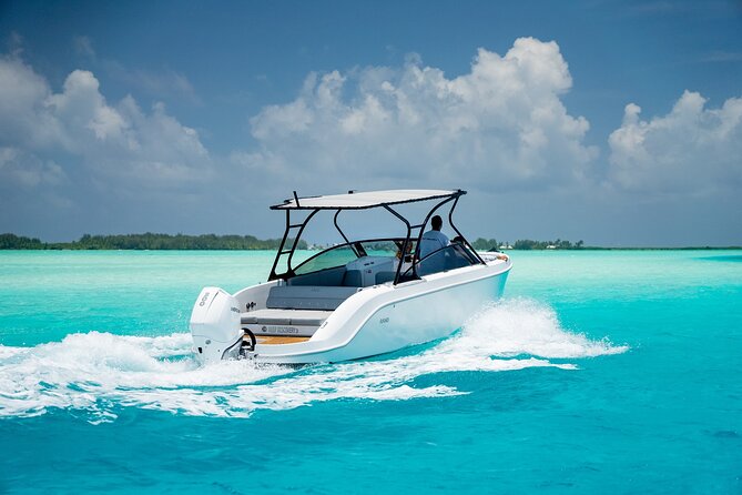 Private 4 Hours Reef Discovery Luxury Private Treasure Hunt in Bora Bora - Who will get the most from this $1,068.76 outing