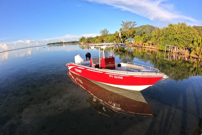 Private Big Game Fishing Day - Four to five hours chasing big fish offshore