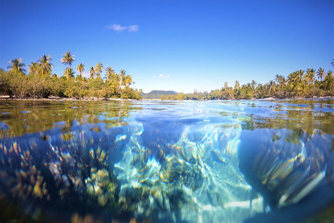 Private Big Game Fishing Tour in Raiatea - Lunch aboard the boat and a lagoon snorkeling stop