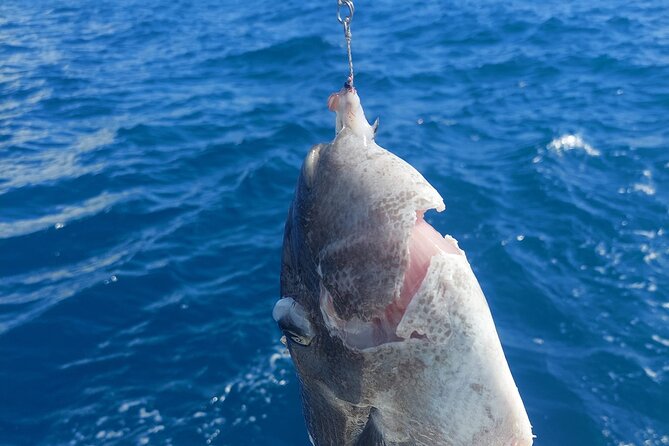 Private Big Game Fishing Tour in Raiatea - What you might catch in Raiatea’s waters