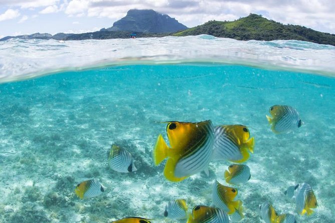 Private Boat Rental on Cap Camarat 25ft - Practical booking advice for Bora Bora