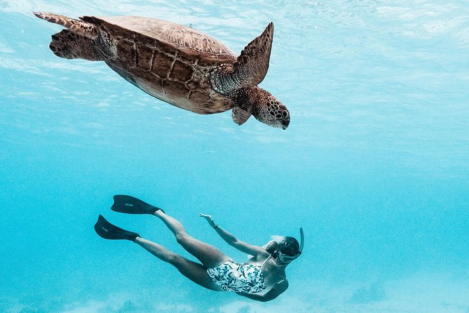 Private Boat Tour of Moorea Lagoon - What happens during the three-hour outing