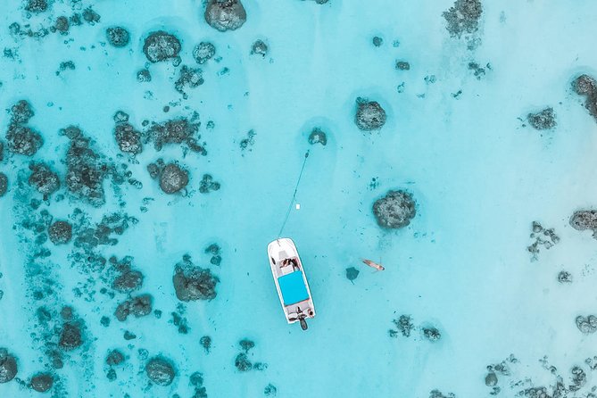 Private Boat Tour of Moorea Lagoon - How the guides shape the experience