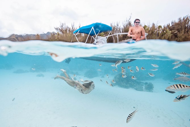 Private Boat Tour of Moorea Lagoon - The GoPro photos are more than a small bonus
