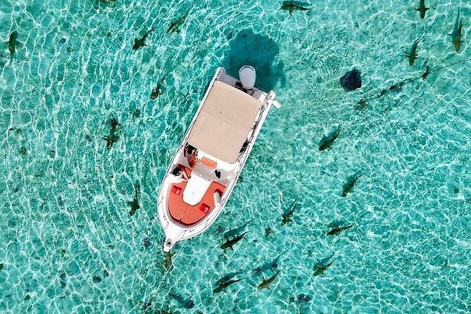 Private Bora Bora Lagoon Experience - Is $641.33 a fair price?