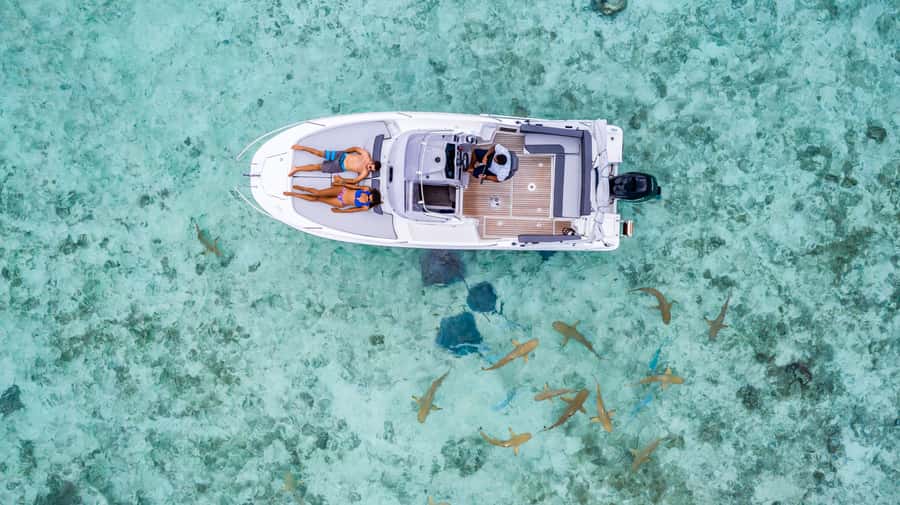 Private Bora Bora Lagoon Snorkel Cruise with BBQ Picnic - Lunch on a Small Motu With Mt Otemanu in View
