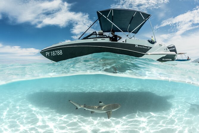 Private Day Trip Hike and Boat in Moorea - Marine life with a biologist