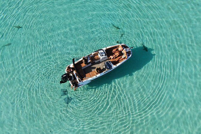 Private Day Trip Hike and Boat in Moorea - Is $1,822 good value?
