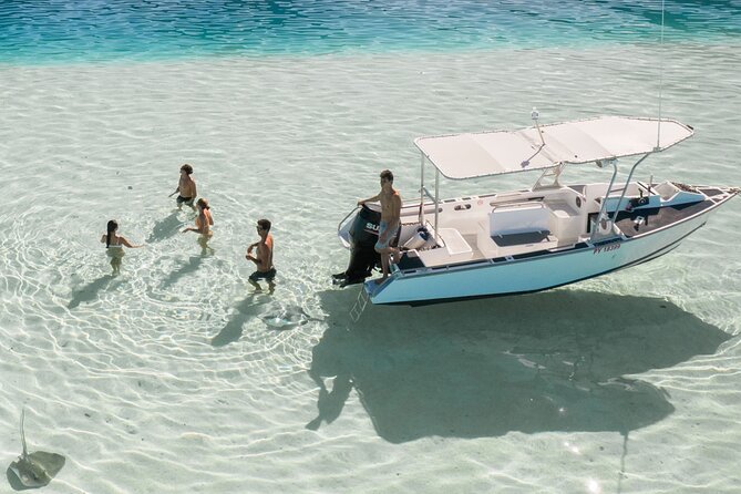 Private Discovery of the Marine Fauna of Moorea - Key points at a glance