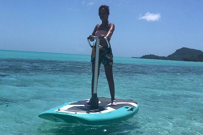 Private Electric Paddle Cruise in Bora Bora - Looking for fish, rays, and sharks