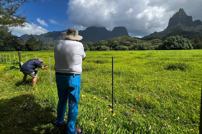 Private excursion to Moorea, photo tour & immersive discovery - Toatea Lookout and the final frames