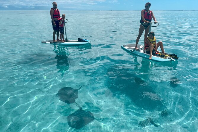 Private Excursion with E-Board in Moorea with snorkeling - Starting at Manava Beach Resort in Maharepa