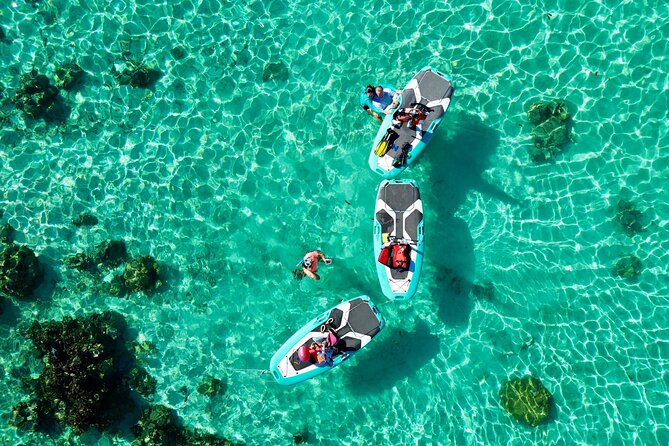 Private Excursion with E-Board in Moorea with snorkeling - A Pineapple Juice Break With Mountain Views