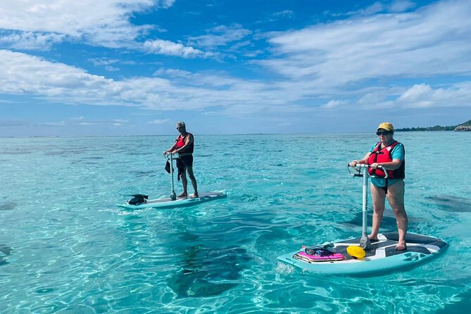 Private Excursion with E-Board in Moorea with snorkeling - Maharepa’s Coral Garden Stop