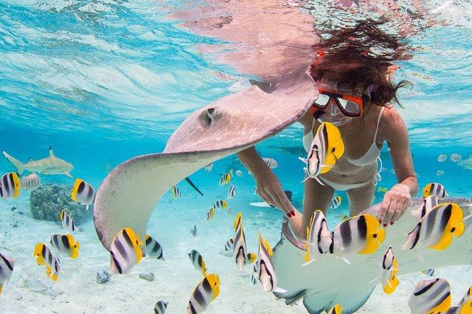 Private Full Day Aquatic Photo Tour + Resort Photo-Shoot (All inclusive) - Why this Bora Bora photo tour feels different