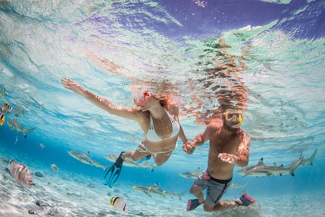 Private Full Day Aquatic Photo Tour + Resort Photo-Shoot (All inclusive) - Lunch, snorkeling, and extra photos on the motu