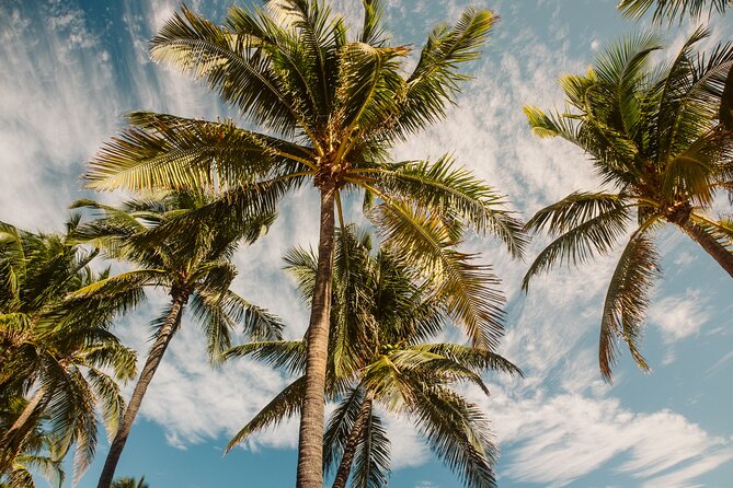Private Full-Day Lagoon Adventure in Bora Bora with BBQ Lunch - Weather, comfort, and practical limits