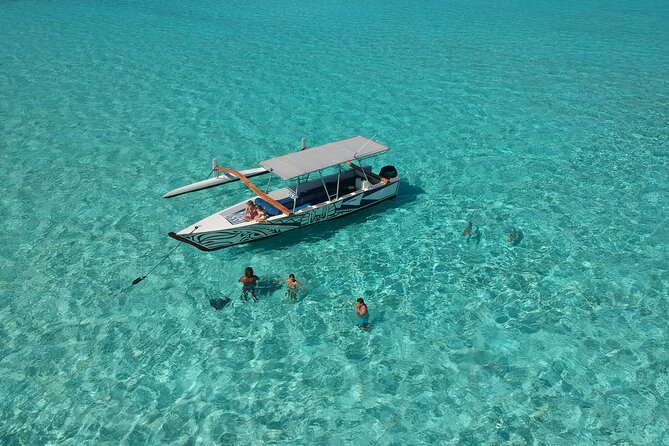 Private Full-Day Lagoon Adventure in Bora Bora with BBQ Lunch - Coral gardens and the first swim