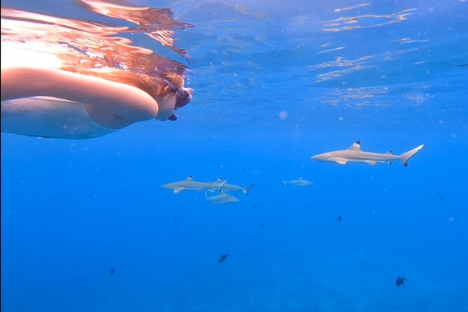 Private Full Day Lagoon Safari and Lunch on a Motu in Bora Bora - Boat comfort and what is not included